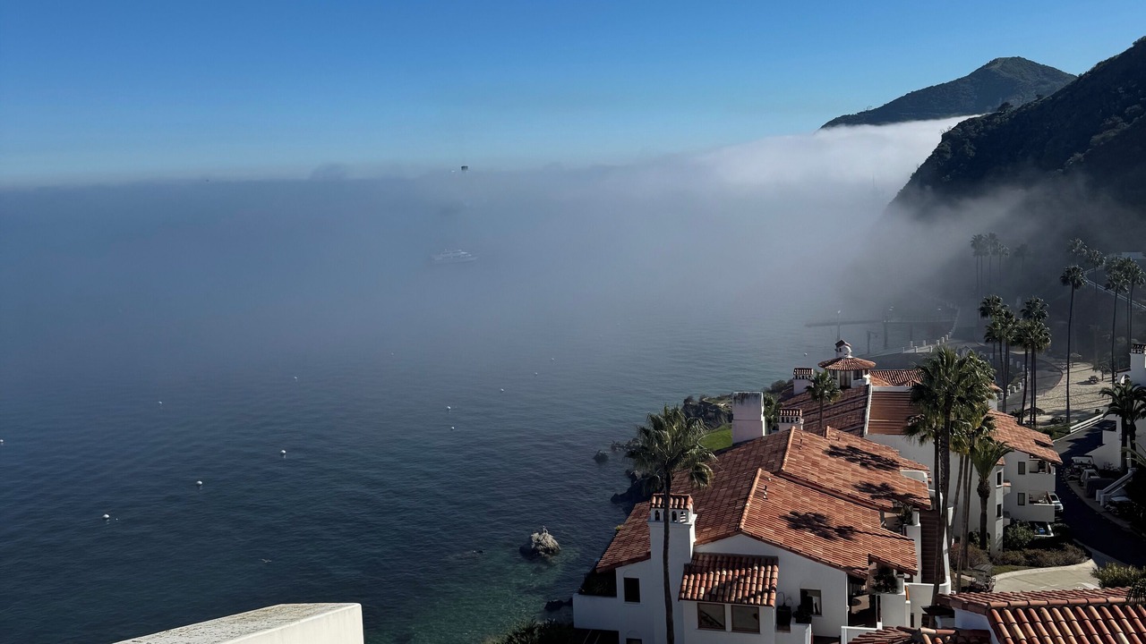 Photo of Others in Avalon
