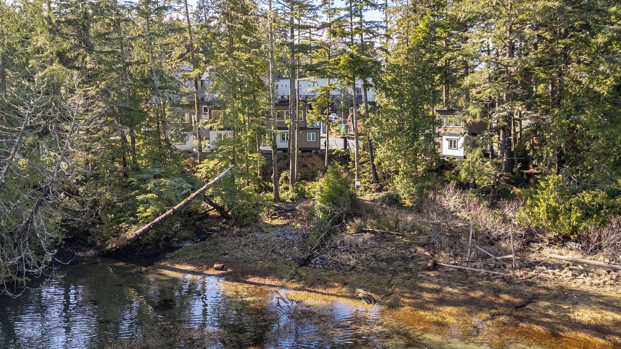 Photo of Others in Ucluelet