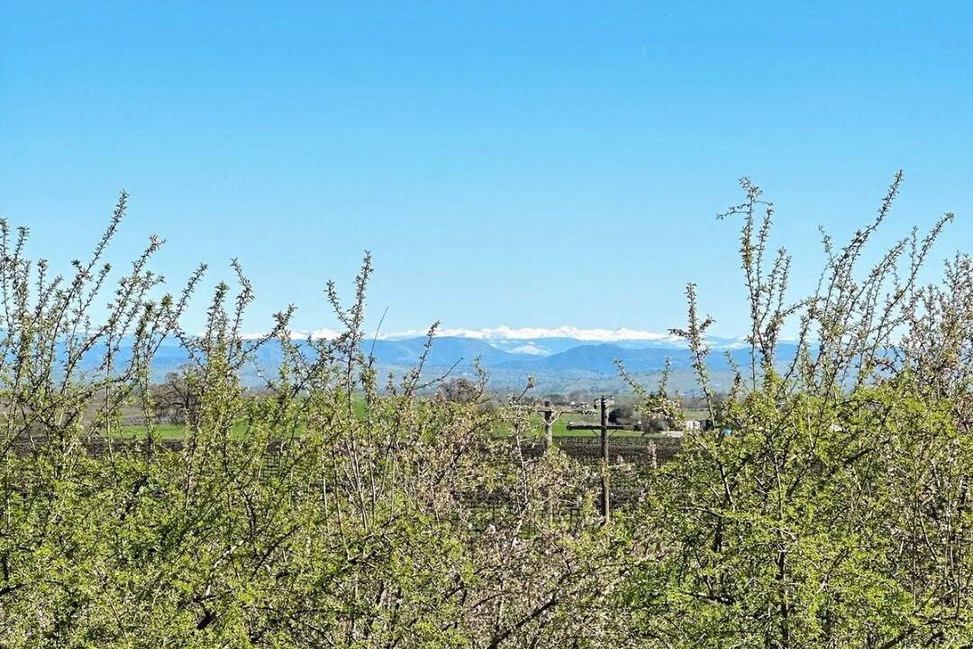 Photo of Others in Central Valley