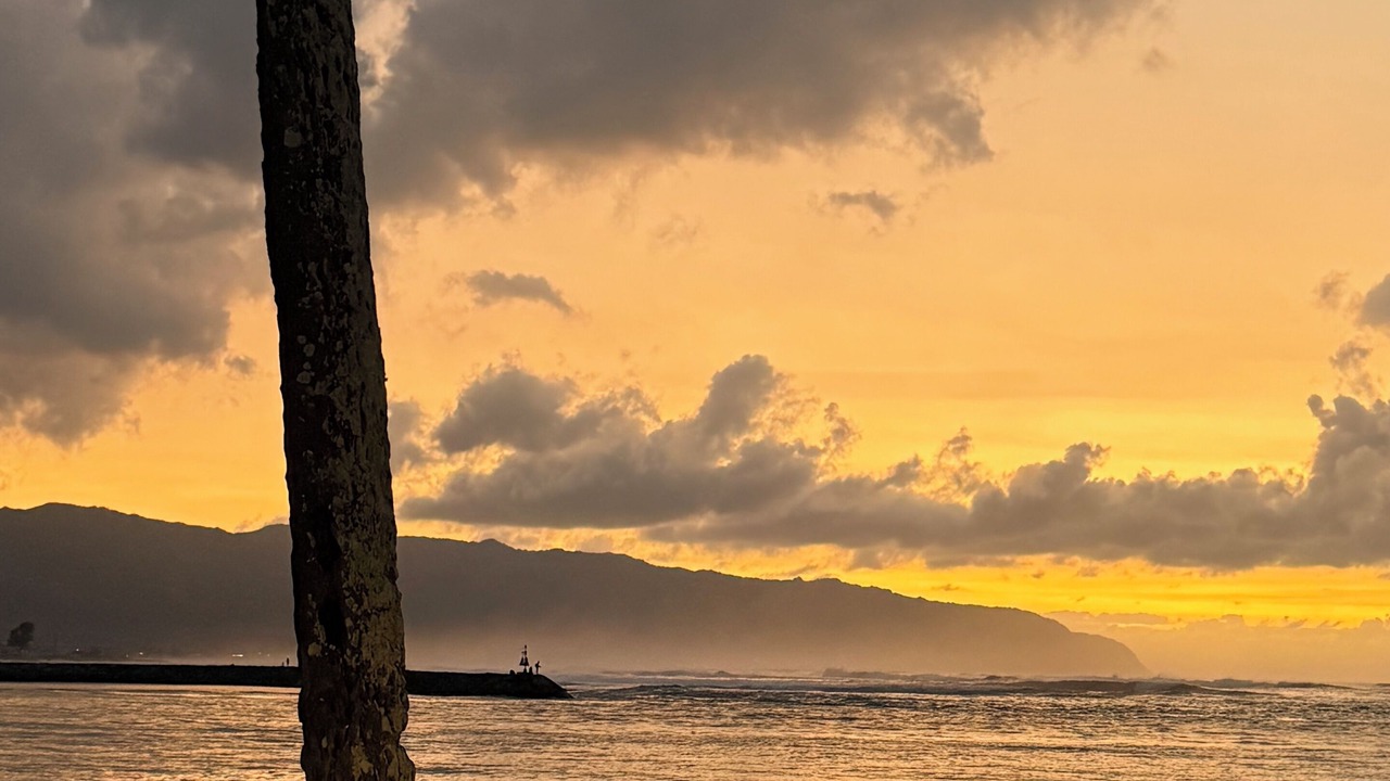 Photo of Others in Waialua