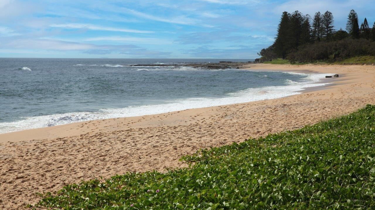 Photo of Others in Shelly Beach
