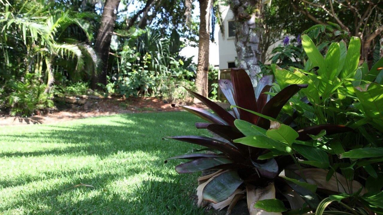 Photo of Outdoor in Shelly Beach