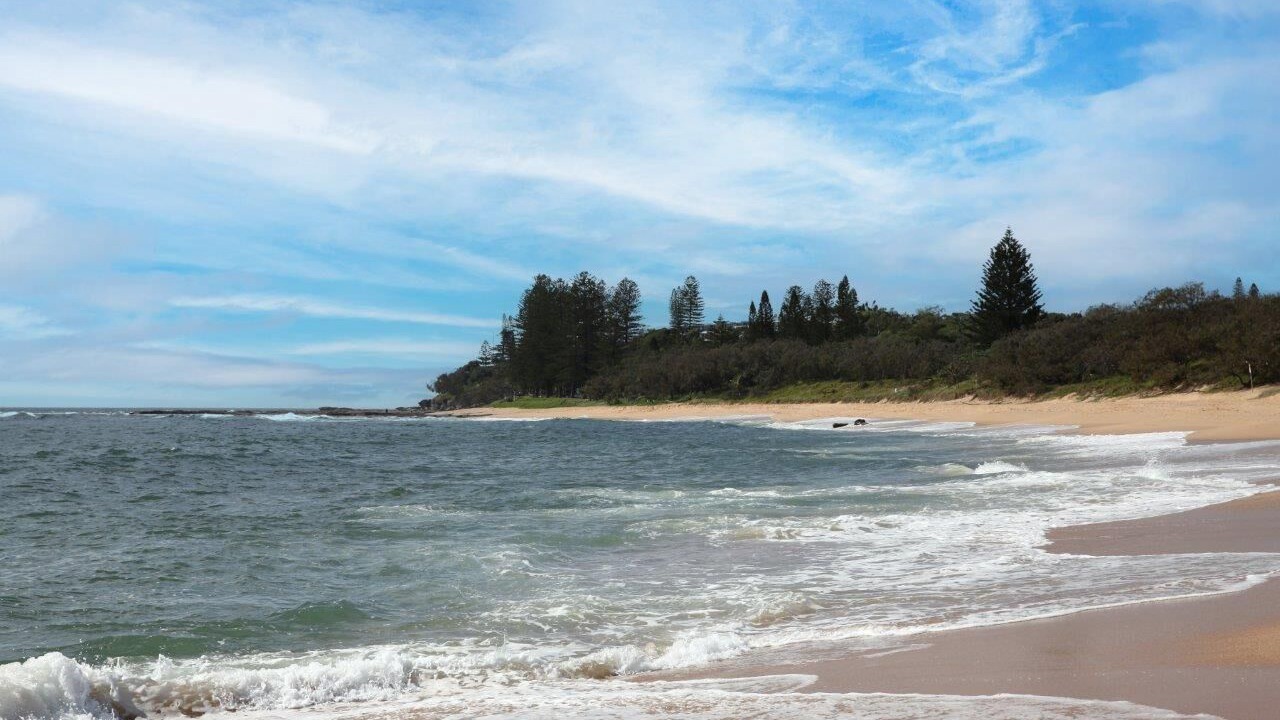 Photo of Others in Shelly Beach