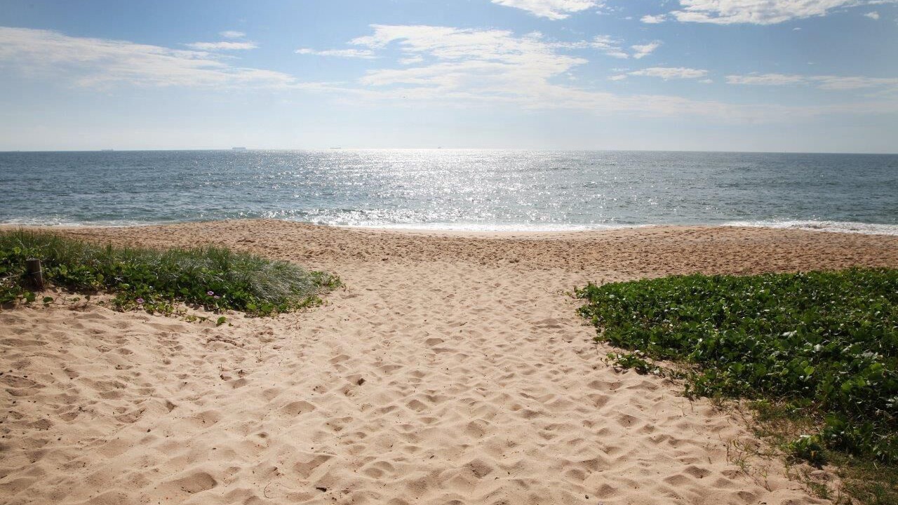 Photo of Others in Shelly Beach