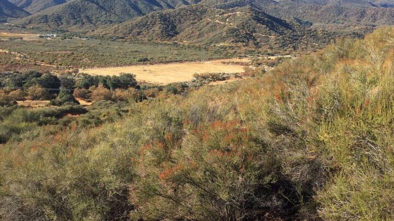 Photo of Others in Warner Springs