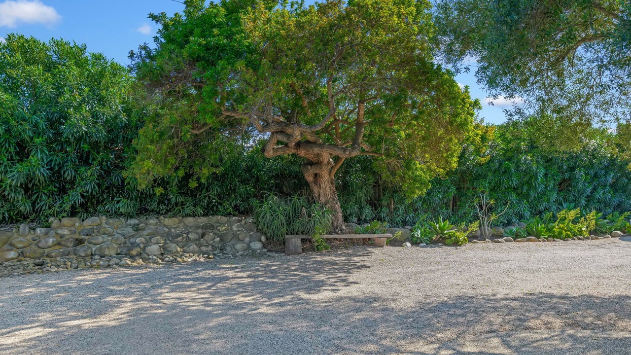 Photo of Others in Carpinteria