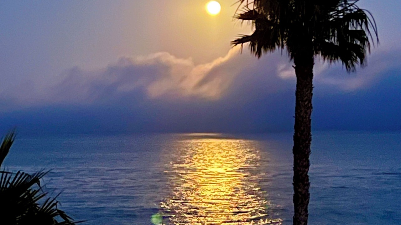 Photo of Others in Central Malibu
