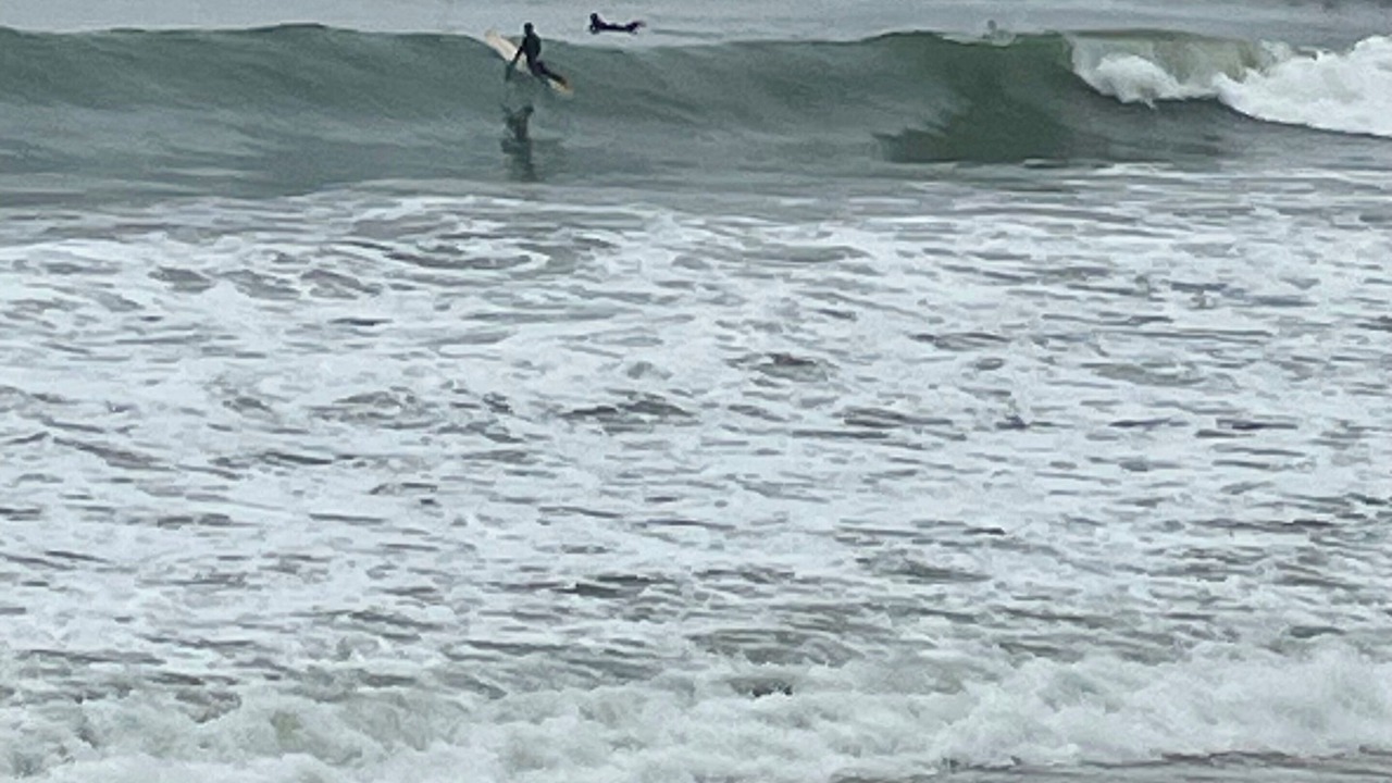 Photo of Others in Central Malibu