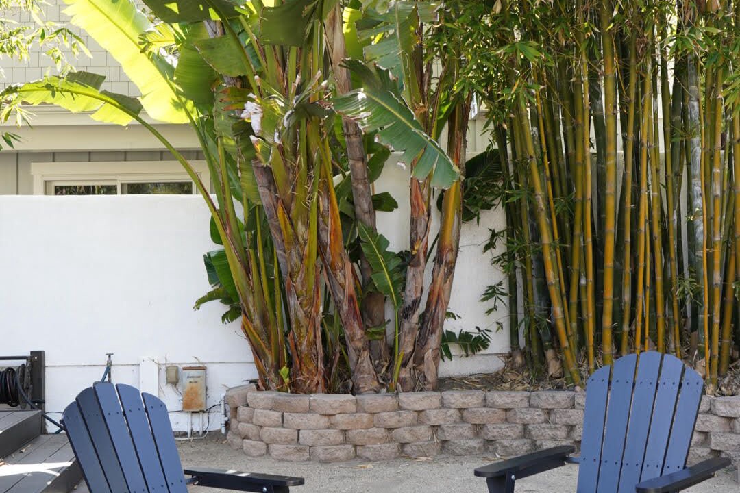 Photo of Patio Balcony in East Mesa