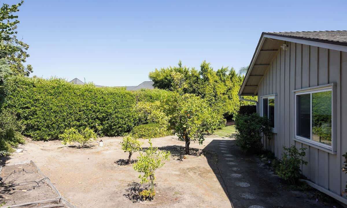 Photo of Outdoor in San Carlos