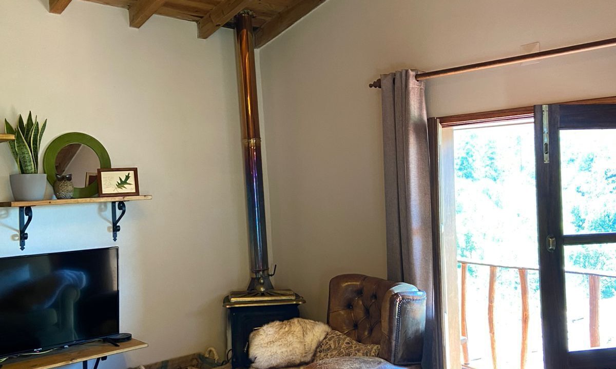 Photo of Livingroom in Lousa