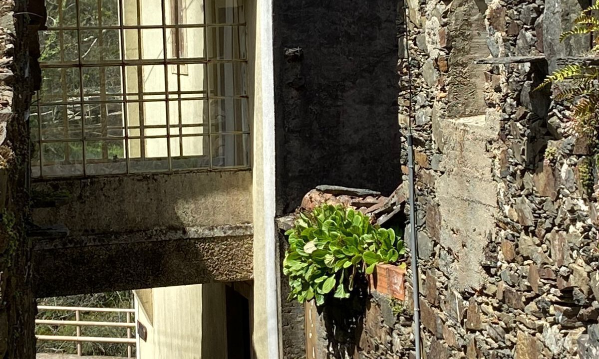 Photo of Outdoor in Lousa