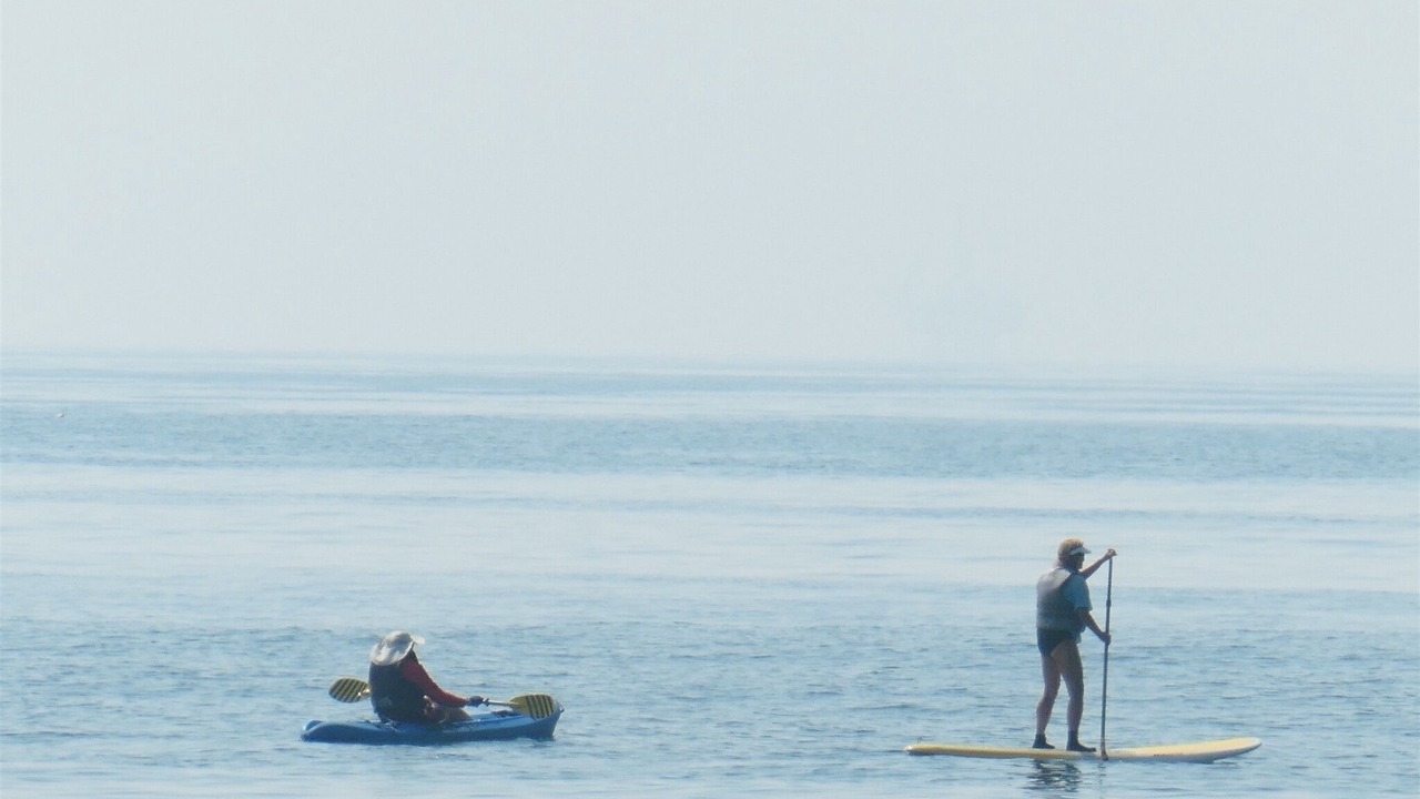 Photo of Others in Carpinteria