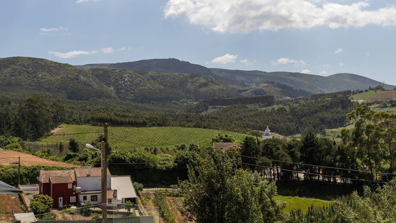 Photo of Outdoor in Lamas