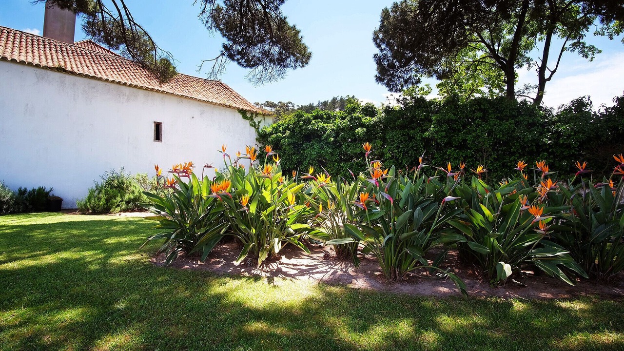 Photo of Outdoor in Almoinha