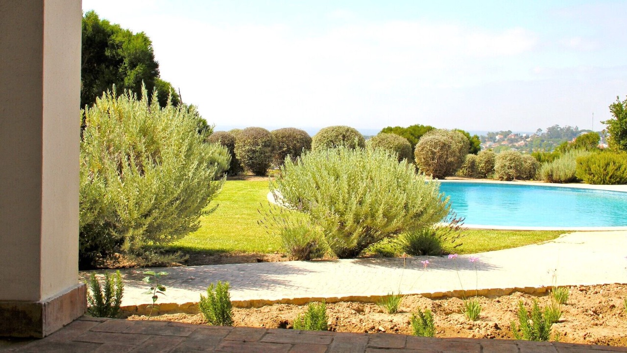 Photo of Outdoor in Almoinha