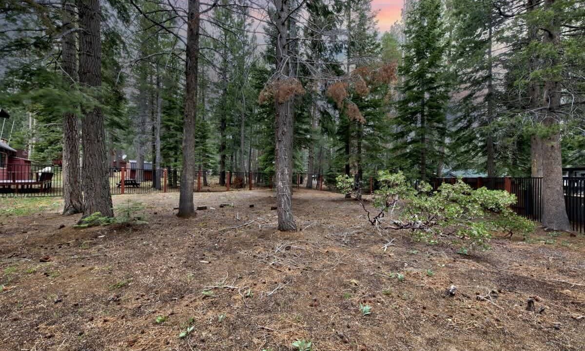 Photo of Outdoor in North Upper Truckee