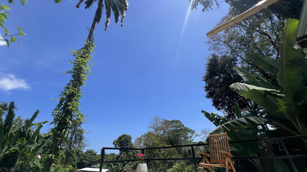 Photo of Outdoor in Cahuita