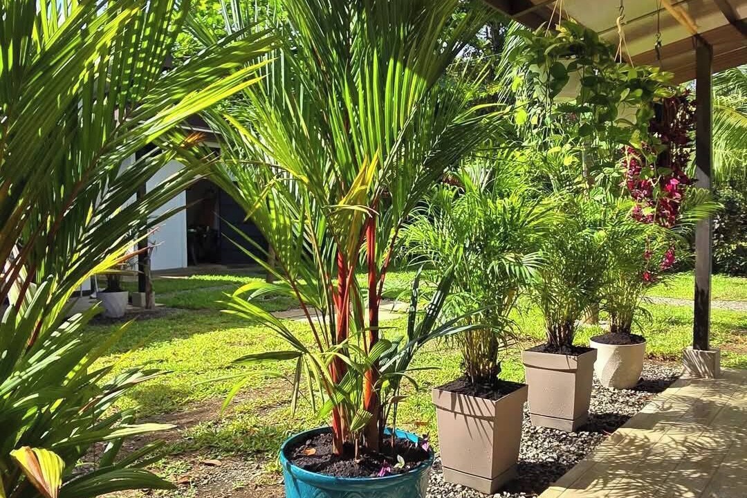Photo of Outdoor in Puerto Viejo de Talamanca