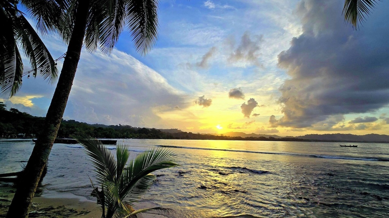 Photo of Others in Puerto Viejo de Talamanca