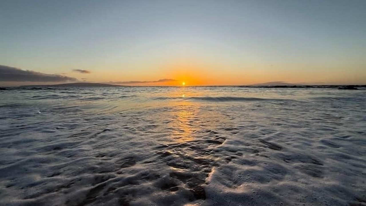 Photo of Others in Kihei
