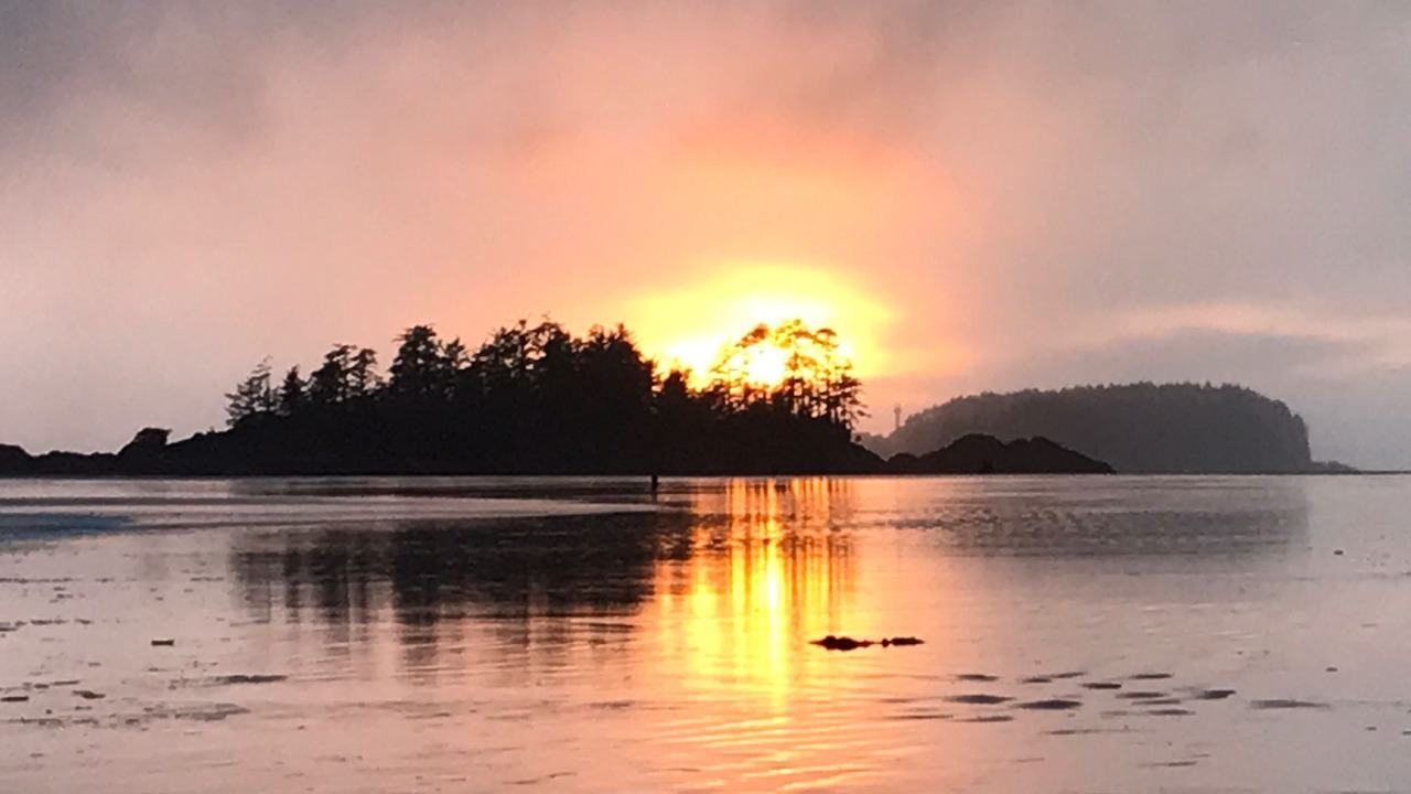 Photo of Others in Tofino