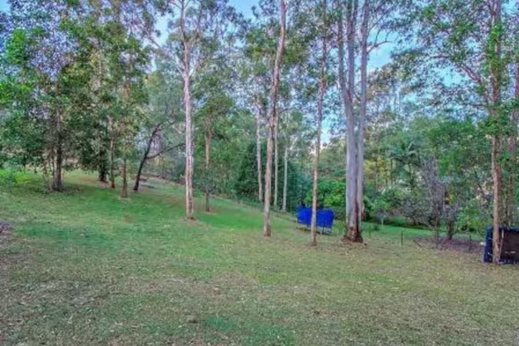 Photo of Outdoor in Worongary