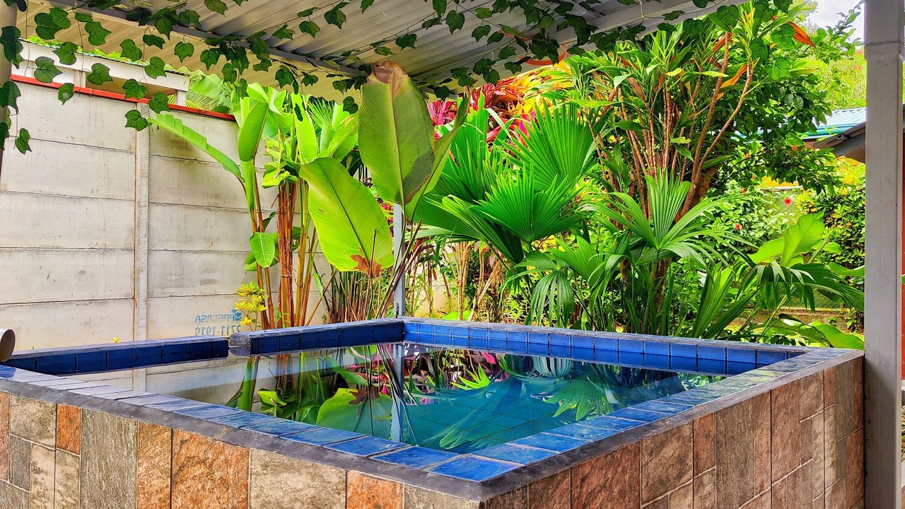 Photo of Outdoor in Puerto Viejo de Talamanca