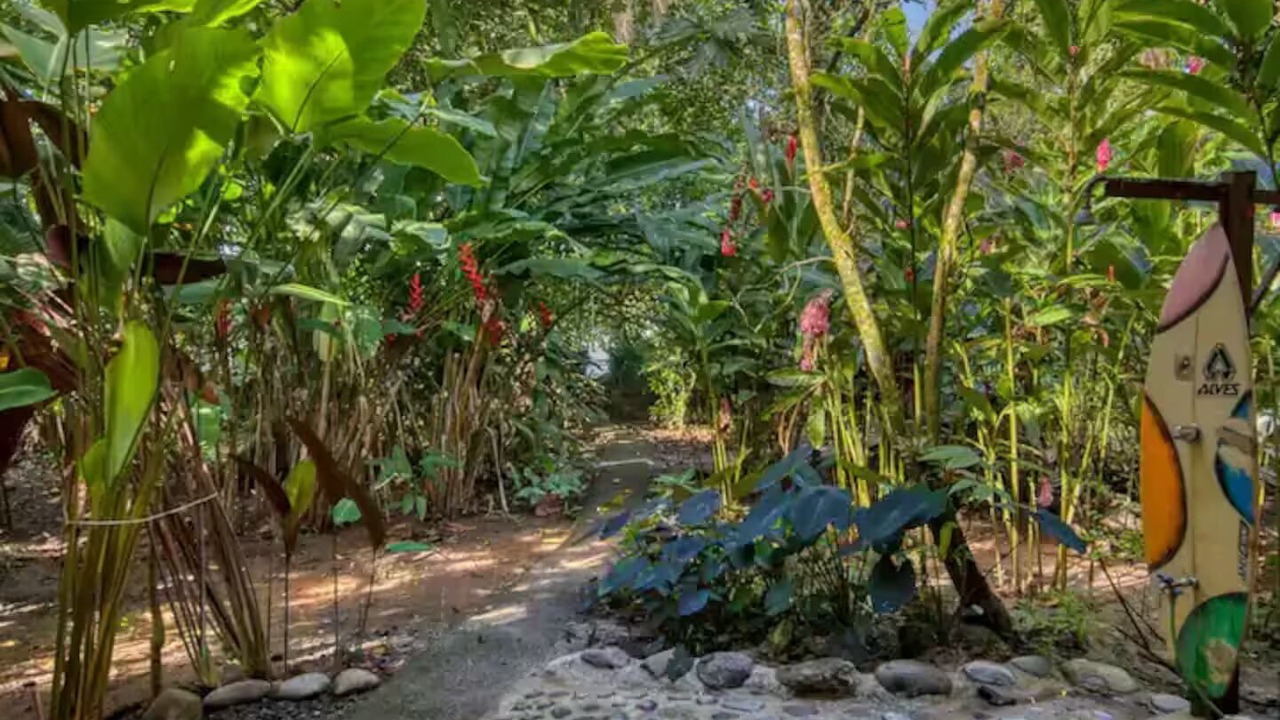 Photo of Outdoor in Punta Uva