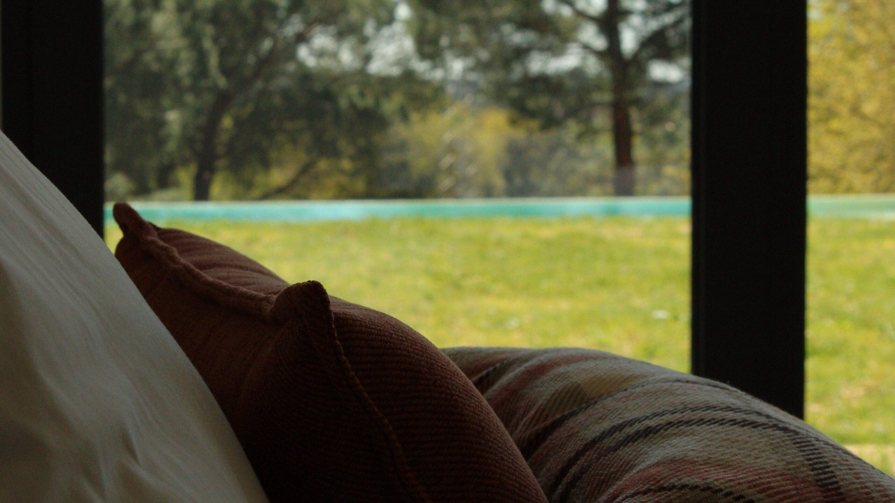 Photo of Others in Viseu