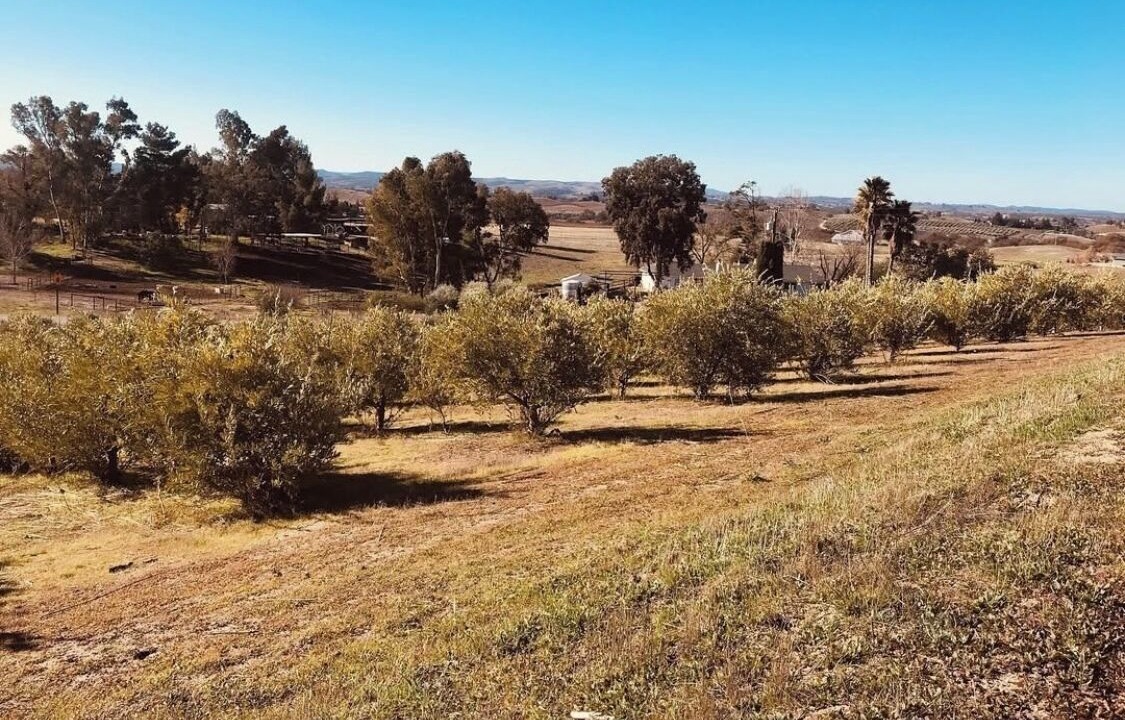 Photo of Others in Paso Robles