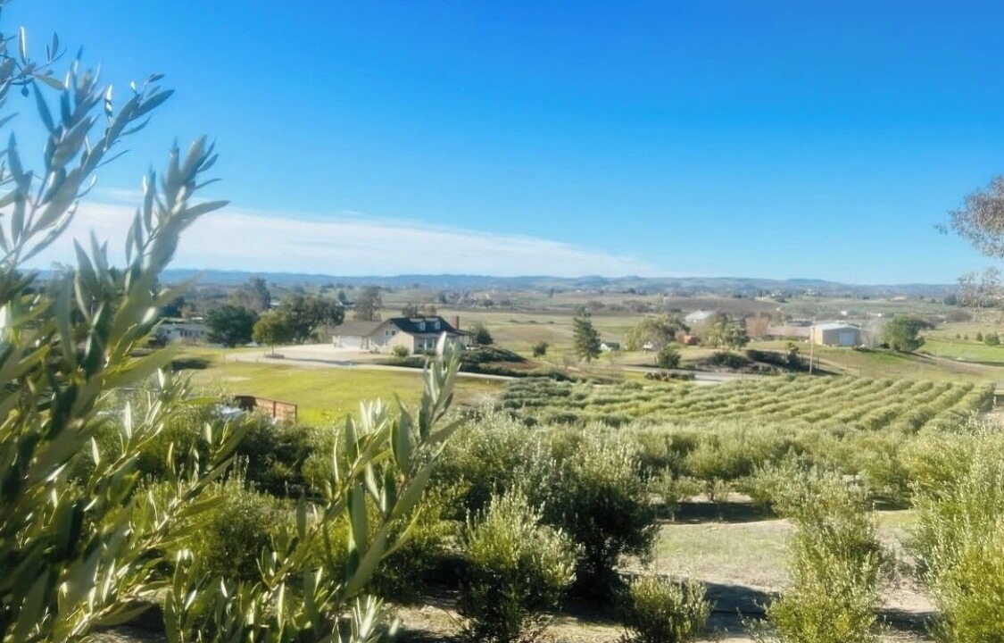 Photo of Outdoor in Paso Robles