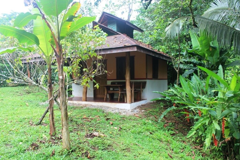Photo of Outdoor in Cahuita
