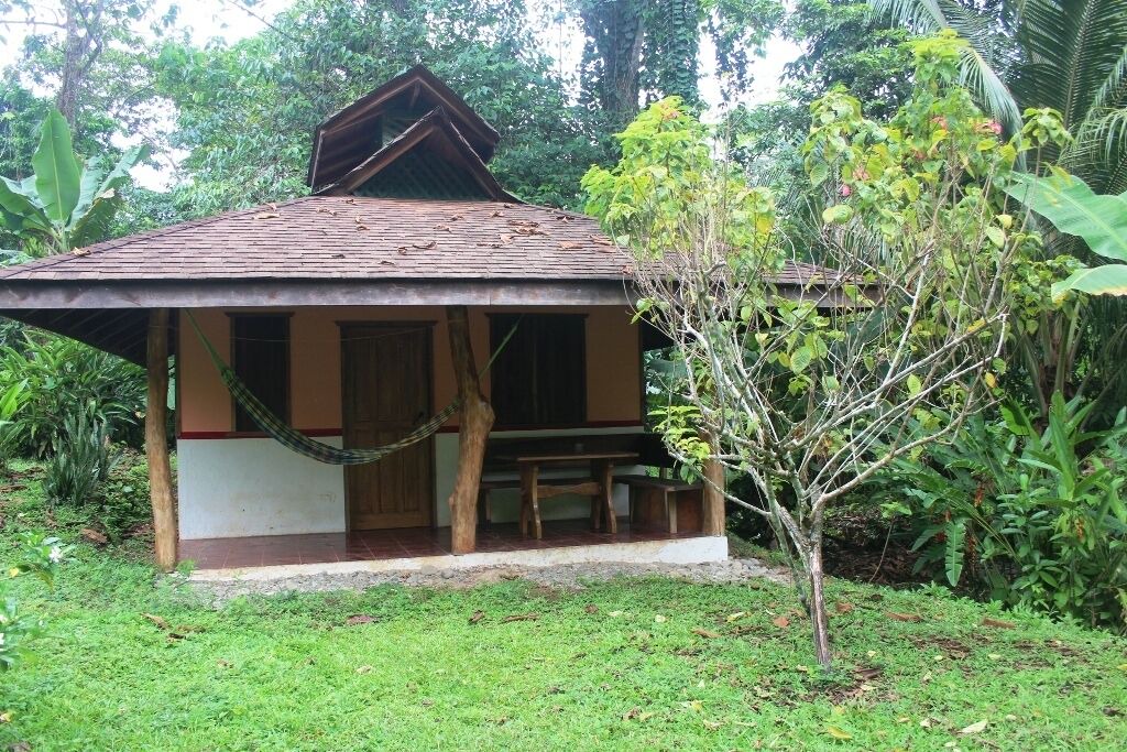 Photo of Outdoor in Cahuita