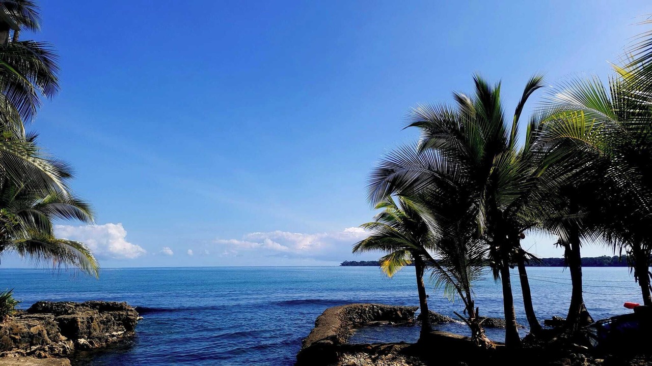 Photo of Others in Cahuita