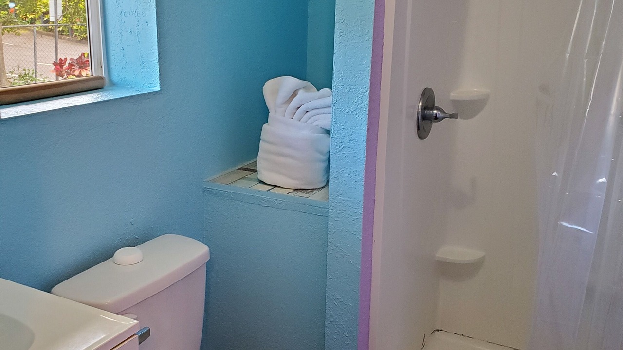 Photo of Bathroom in Wailuku