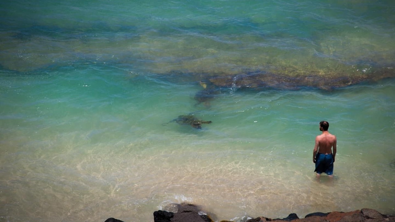 Photo of Others in Wailuku