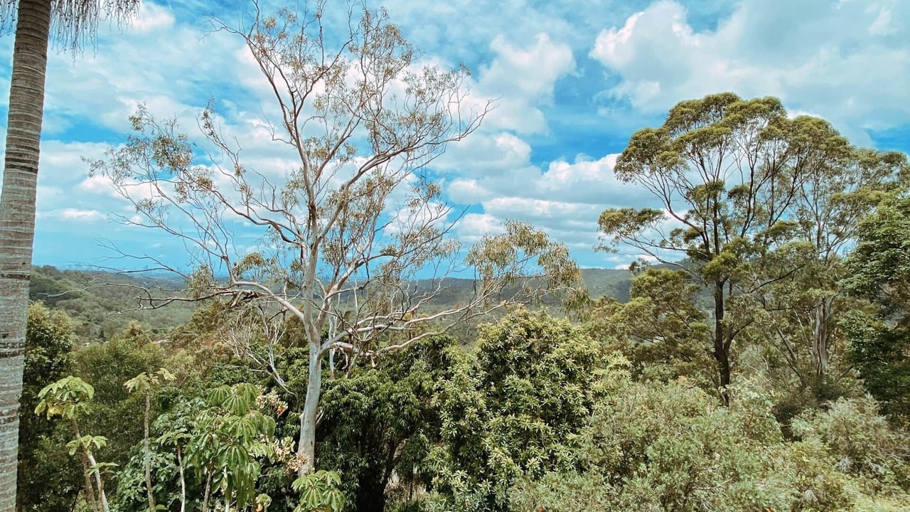 Photo of Others in Mudgeeraba