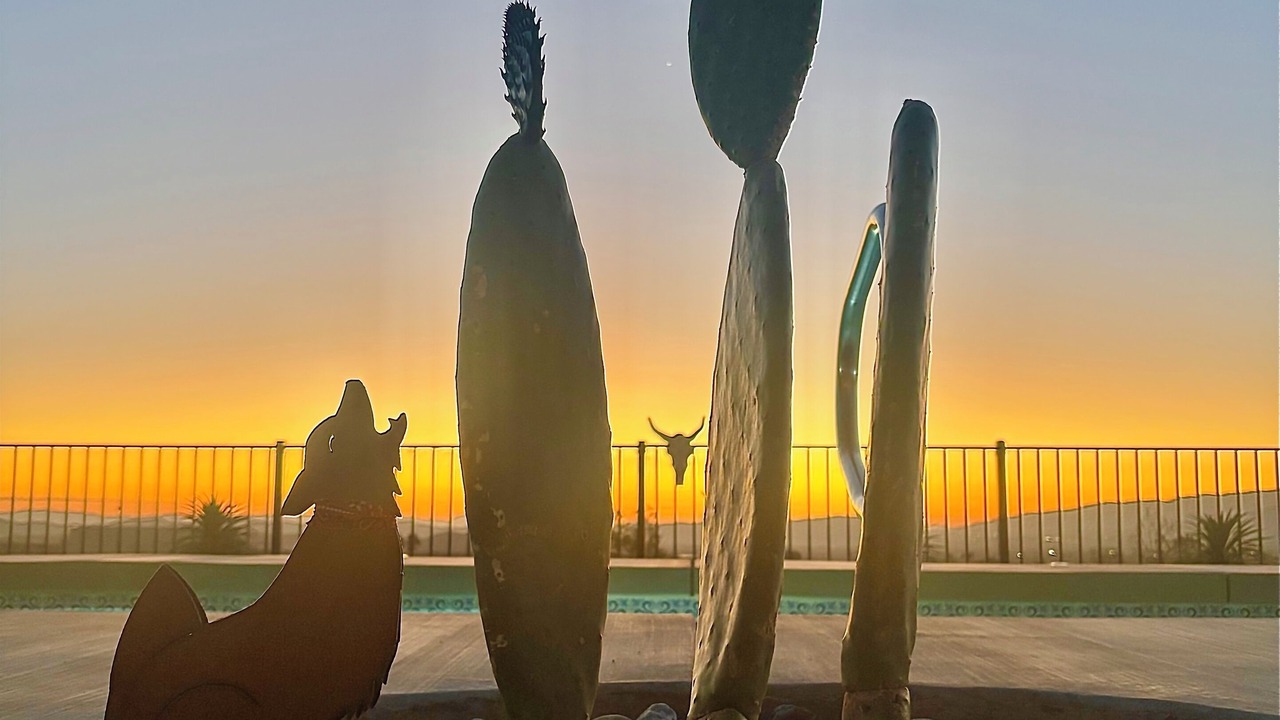 Photo of Outdoor in Joshua Tree
