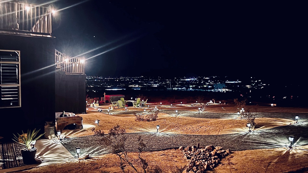 Photo of Others in Joshua Tree