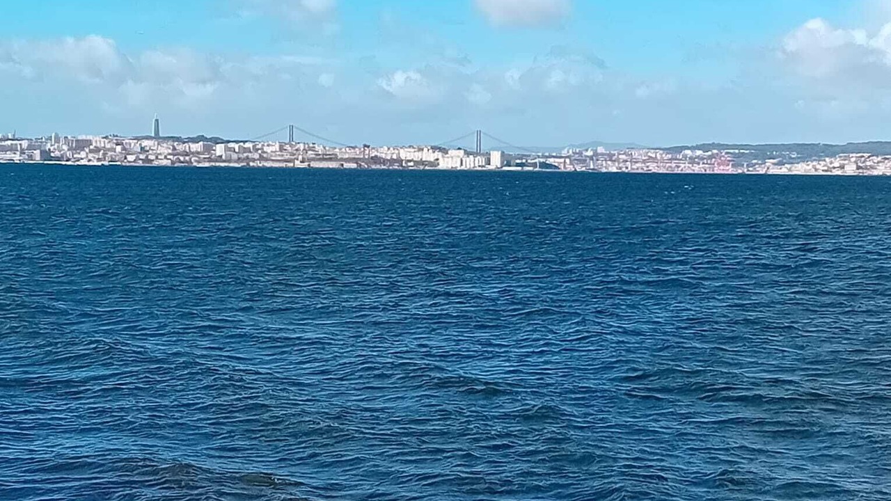 Photo of Others in Barreiro
