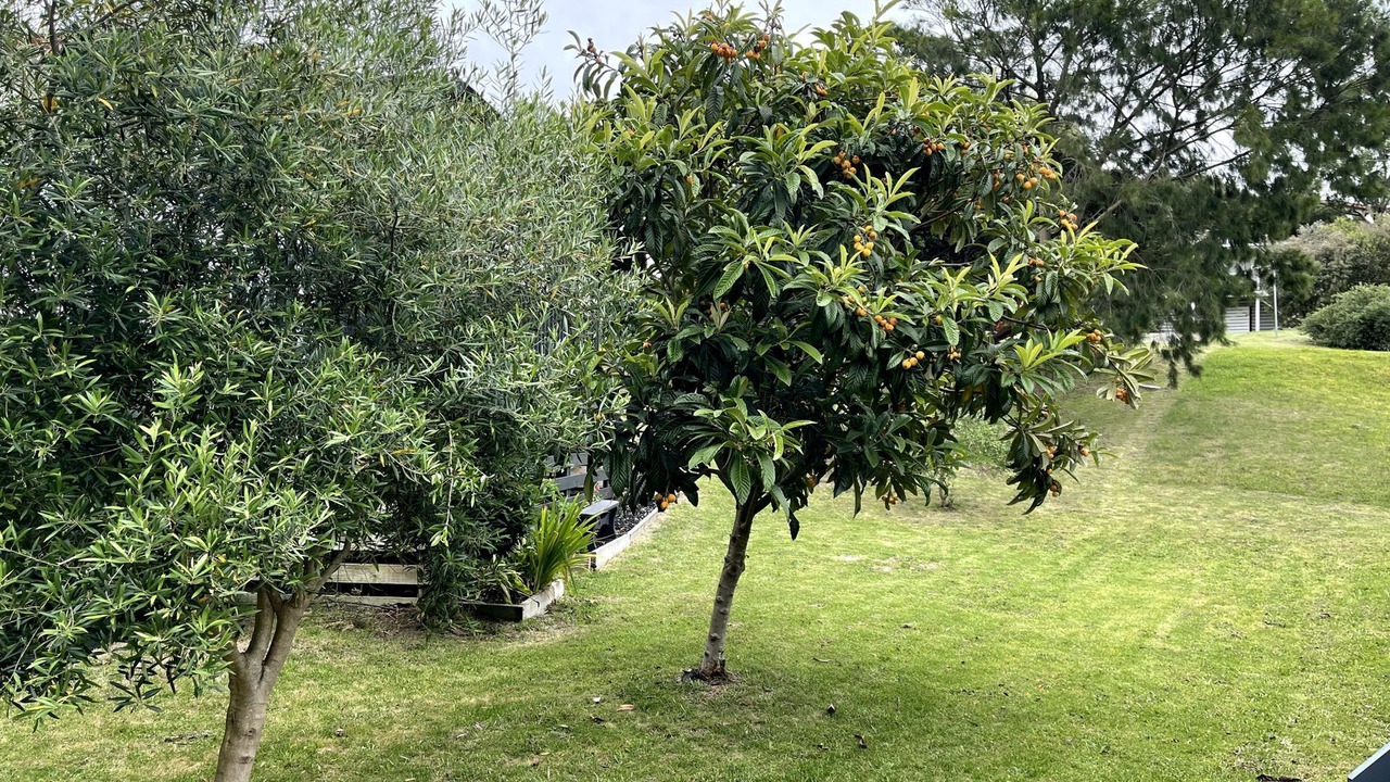 Photo of Outdoor in Venus Bay