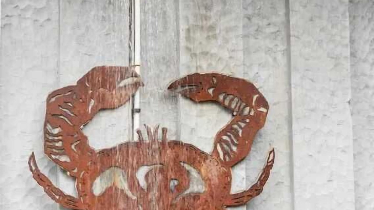 Photo of Outdoor in Tofino