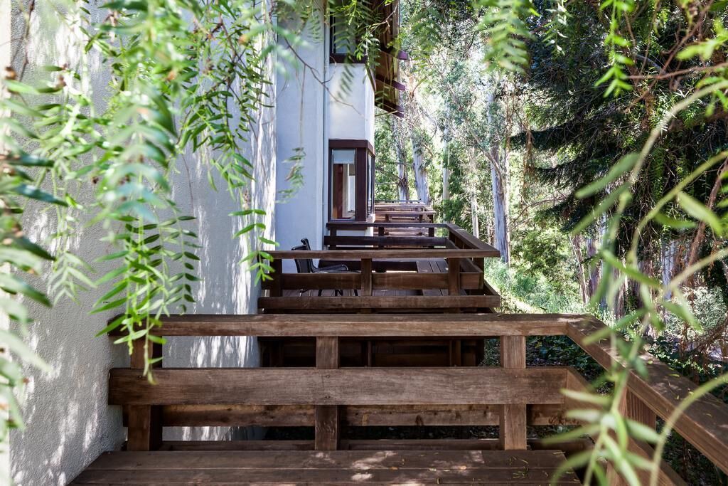 Photo of Outdoor in Live Oak