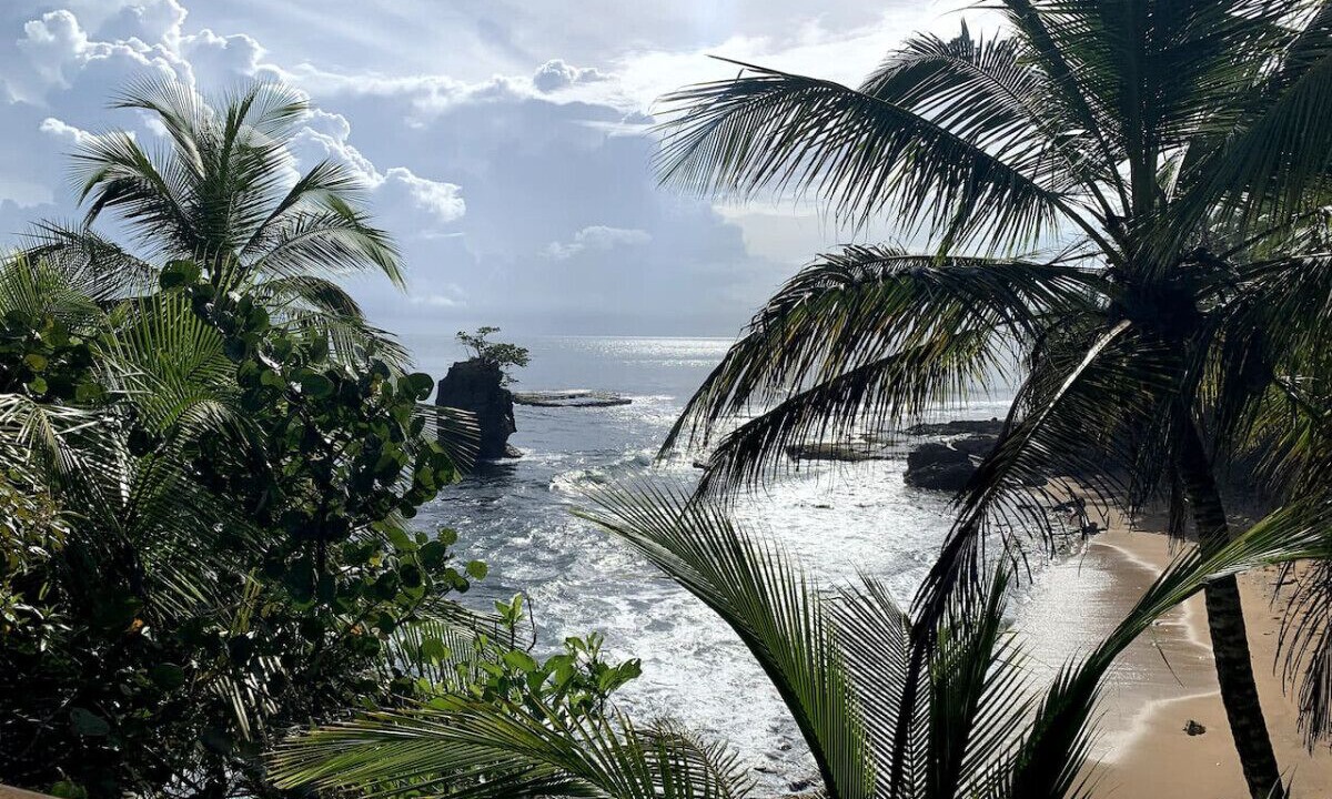 Photo of Others in Manzanillo