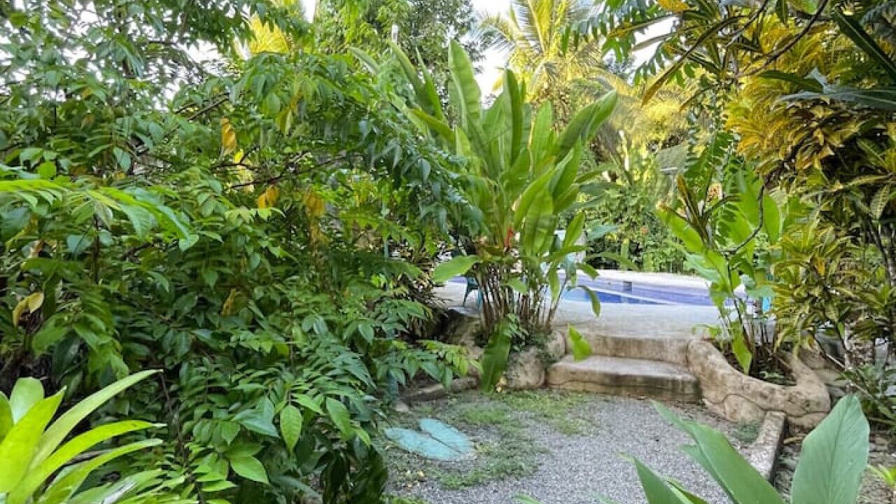 Photo of Outdoor in Manzanillo