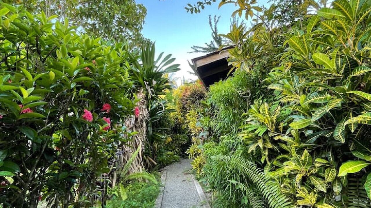 Photo of Outdoor in Manzanillo