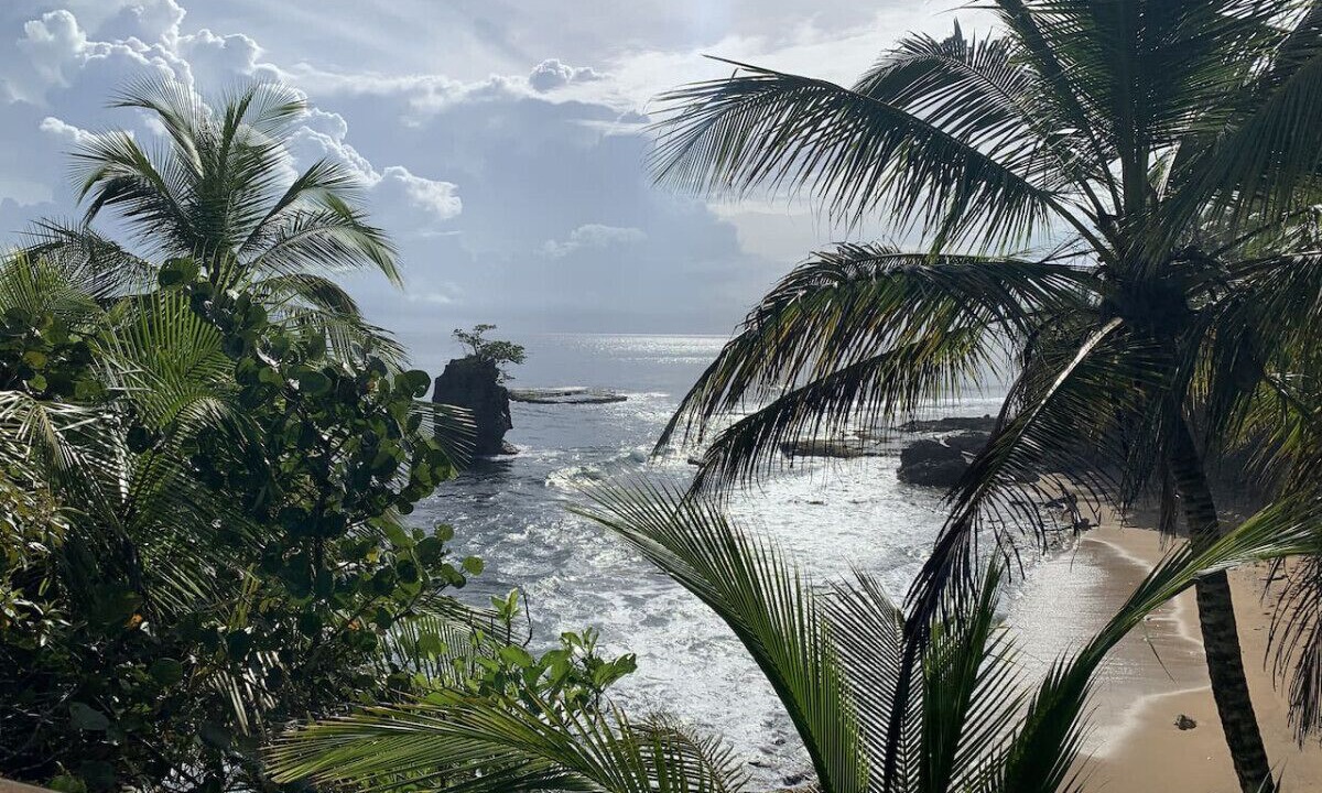 Photo of Others in Manzanillo