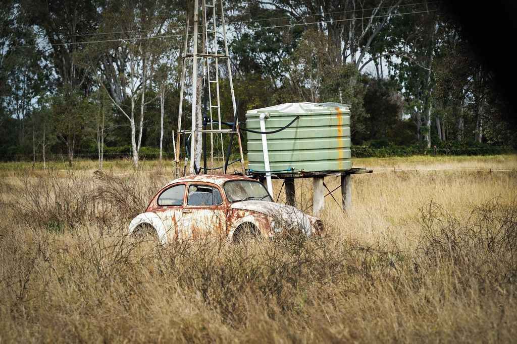 Photo of Others in Calvert