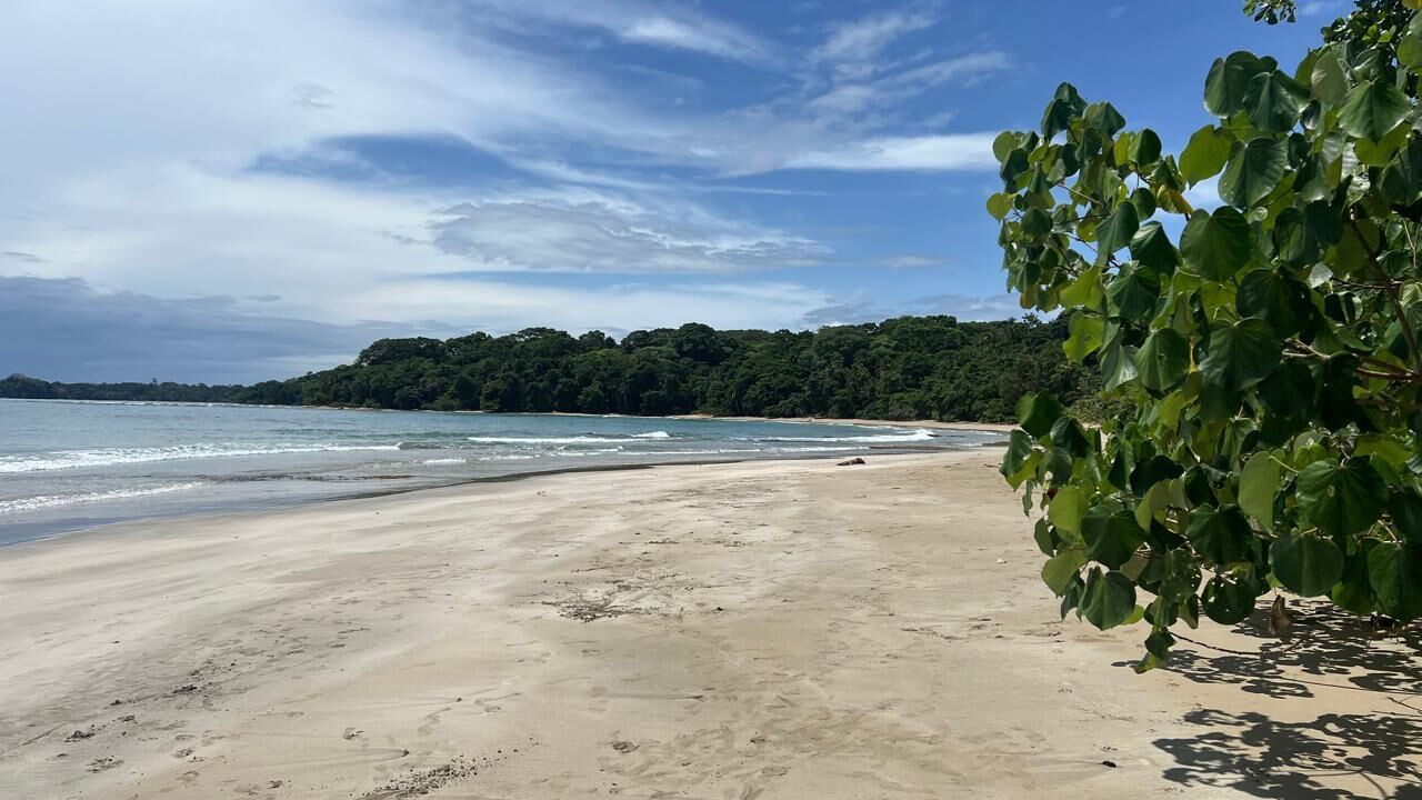 Photo of Others in Cocles
